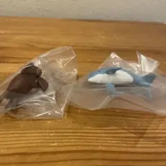 京都水族館ガチャ2つセット