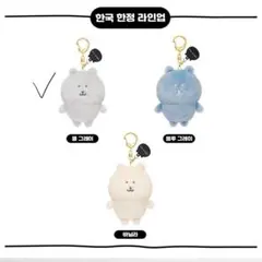 カラーなナガノ ナガノマーケット 韓国限定 クールグレー