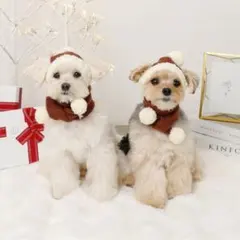 Item thumbnail for item 39c9db16-5664-4f2a-8f1c-ddee7910e7bc