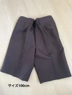 Item thumbnail for item 5dcbc162-8de4-40e0-8420-ff749f6f2732