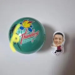 JTサンダーズ広島 サンダー坊や サイン入りボール 5個セット非売品 抽選当選品 JTサンダーズ広島 サンダー坊や サイン入りボール 5個セット非売品