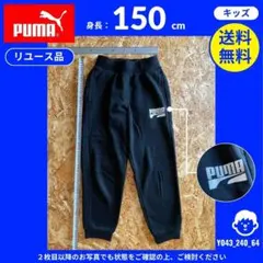 Item thumbnail for item 13d0ef5c-52bf-4b40-8adb-1a8d6c5dc689