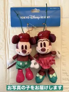 新作　新品タグ付き　ぬいぐるみチャーム　さくらんぼ　チェリー　ディズニーリゾート