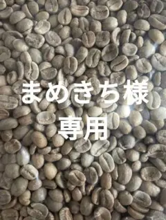まめきち様専用☆コーヒー生豆