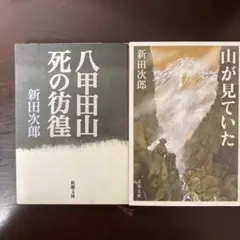 Item thumbnail for item d9941b0d-8f52-4144-8349-c76d2154e21a