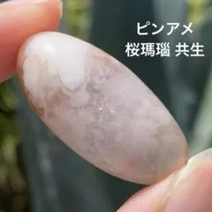 美しいパープルピンク❣️\"ピンクアメジスト&桜めのう\"の大玉73.5mmスフィア❣️ ◇ピンクアメジスト桜瑪瑙共生スフィア【A】 | 天然石と雑貨のお