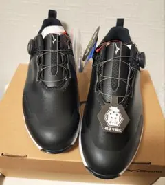 Mizuno ワイドスタイルライトST 26.0 EEE - メルカリ