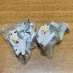 Stray Kids SKZOO つまんでつなげてますこっと フォクシニー