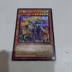 遊戯王　教導の雷霆 フルルドリス　シク
