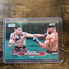 Item thumbnail for item 6e8bf336-4949-415b-84e6-8c19b7b3b49f