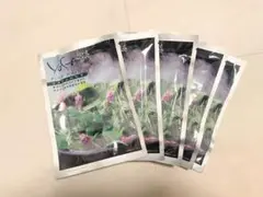 2025年最新】yosa ヨサの人気アイテム - メルカリ