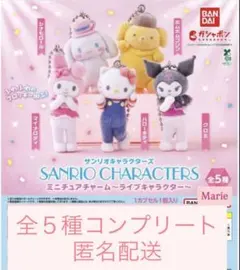 サンリオキャラクターズミニチュアチャームライブキャラクター　コンプリート②