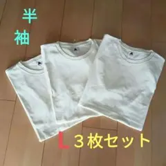 コットンTシャツ　Lサイズ ３枚セット