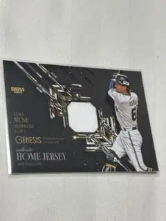 ヒラビッシュ様 リクエスト 2点 まとめ商品