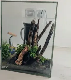 滝の流れるアクアテラリウム 15cmキューブ水槽 - メルカリ