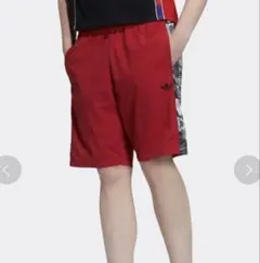 Item thumbnail for item 3595efc6-c836-4381-a5dd-3026b57bb4dd