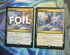 MTG 氷河森林の包囲/Glacierwood Siege TDM 通常枠日2枚