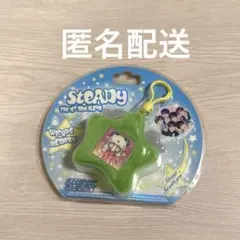 NCT WISH Steady キーリング サクヤ トレカなし 未使用