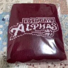 2026年最新】越谷アルファーズの人気アイテム - メルカリ