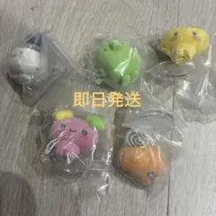 たまごっち　カプセルフロッキーズ　コンプリート