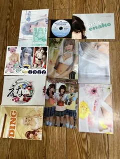 えなこ ヤングアニマル 付録DVD・クリアファイル・ポスター セット