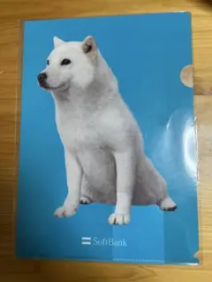 Item thumbnail for item 8c0d6d2c-b6ba-4f7f-8851-de2a51d8e274