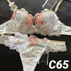 専用 サルート D65/M 68G IV 夕陽の余韻 店舗限定 ⭐︎ ワコール サルート店舗限定68G 夕陽の余韻 ブラD65 ソング M IV 新品