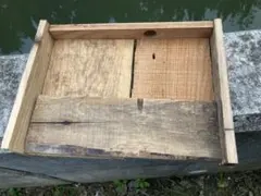 古材 多肉植物鉢　トレイ　木枠 オープンシェルフ　ジャンクガーデン　什器