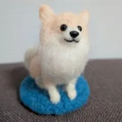 羊毛フェルト　ロングコートチワワ　愛犬メモリアル
