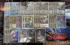 即日配送　ドロマーゼーロ