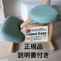 正規品:balans Easy balance labバランス イージー チェア