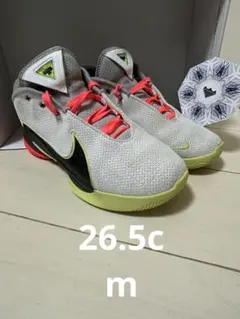 レブロン バスケットボール