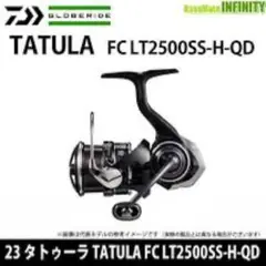 LT2500S ダイワタトゥーラ　リール ダイワ タトゥーラ LT2500S-XH-QD 23年モデル - 釣具のポイント
