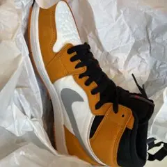 NIKE ナイキ　Nike Air Jordan 1 Element GTX