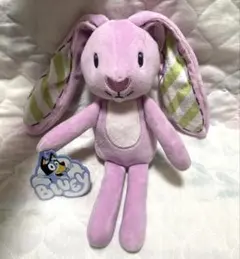 日本未発売 bluey ブルーイ フロッピー ぬいぐるみ 正規品