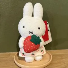 Item thumbnail for item 5c83ea9a-9549-490f-8adf-9f3dabdddb94