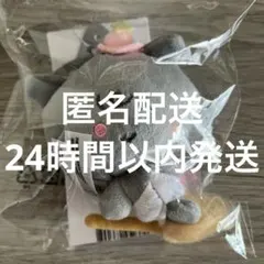 SEVENTEEN ウジ WOOZI ぬいぐるみ 10cm - メルカリ
