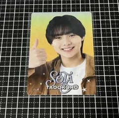 2026年最新】田所蒼大 プロフィールカードの人気アイテム - メルカリ