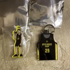 群馬クレインサンダーズ　#29 細川一輝 キーホルダー