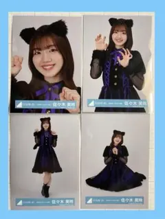 【即日配送】日向坂46 2024年　ハロウィン　衣装　佐々木美玲　生写真　コンプ