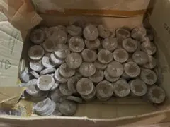発芽用鉢 栽培マット ピートバンのサムネイル