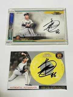 Item thumbnail for item 649c4319-e624-49ee-9e02-8b46e419b7a9