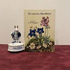 2025年最新】植物図鑑 アンティークの人気アイテム - メルカリ