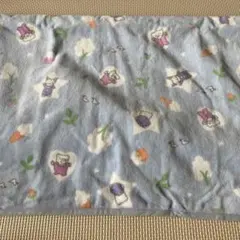 ベビーバスタオル