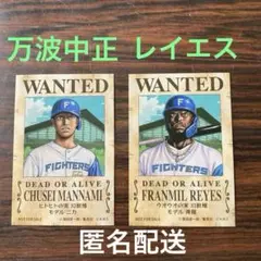 万波中生・レイエス　ONE PIECE ワンピース　指名手配ステッカー　日ハム