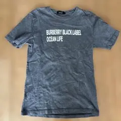 Item thumbnail for item dd226dfd-001b-4937-a6d2-92d02b7d342f