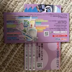2026年最新】東京ドームシーズンシート優待券の人気アイテム