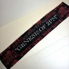 2PM ニックン 『GENESIS OF 2PM』 マフラータオル