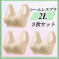 シームレスブラ ノンワイヤー 大きい ナイトブラ 着痩せ 美胸 まとめ売り　下着