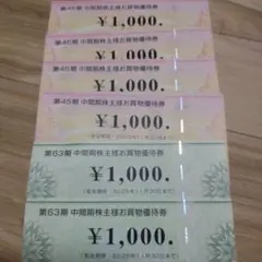 ビックカメラ4000円分・コジマ2000円分　株主優待券